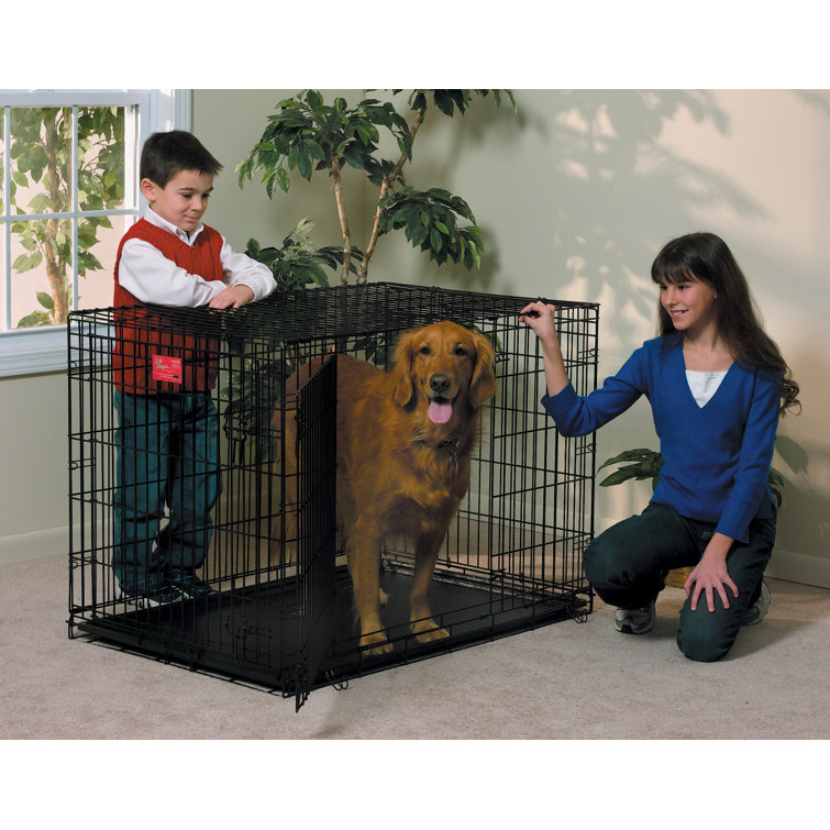 Life stage dog crate sales